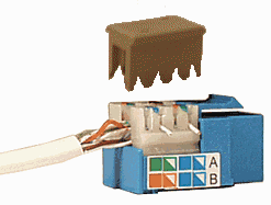 RJ45 Keystone Jack Wiring